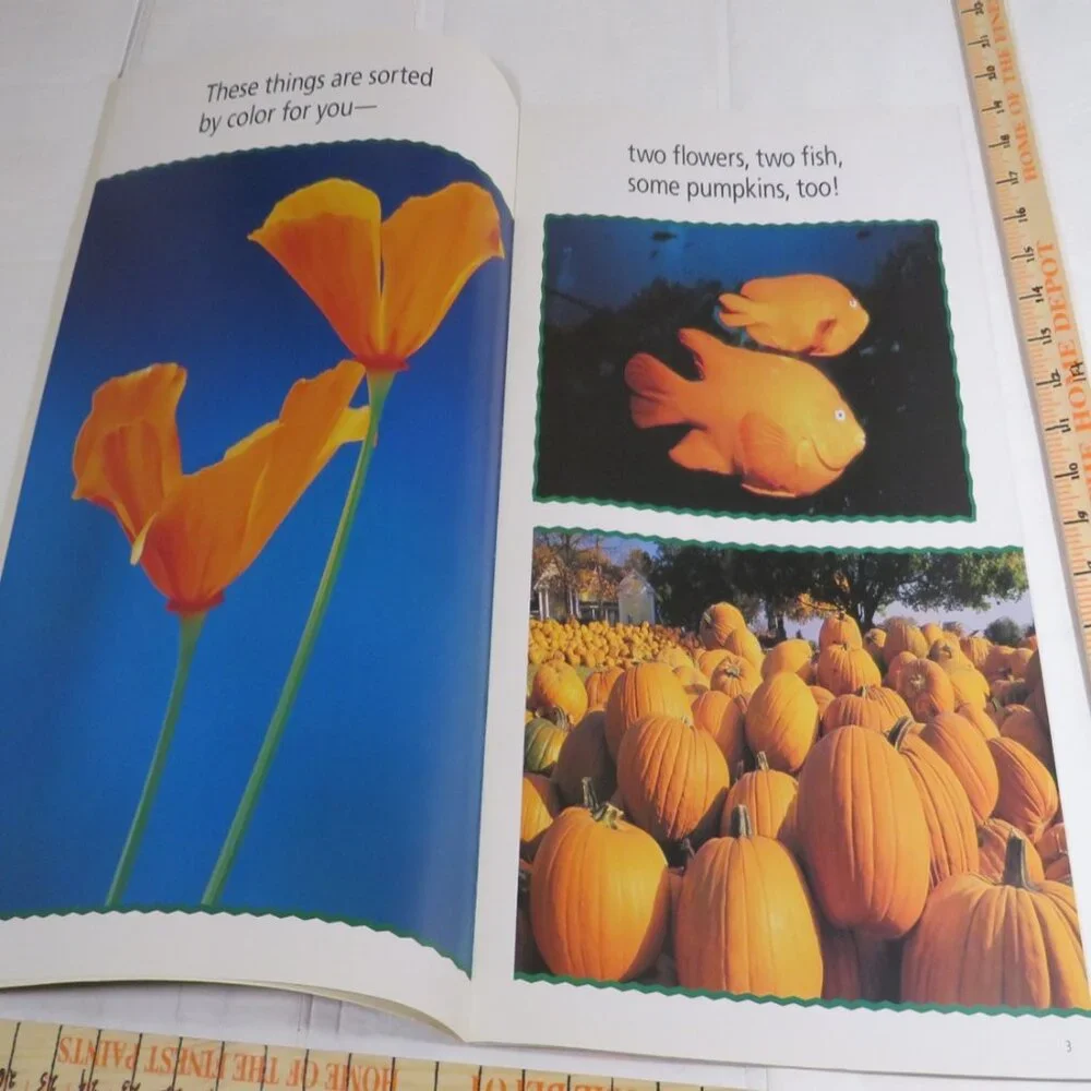 Sort It Out BIG BOOK (almost 2 feet tall) with teacher pages CLASSROOM SIZE